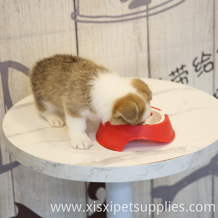 Wholesale Slow Feeder Dog Bowl OEM Pet Feeding Bowl Quality Slow Eating Dog Bowl
